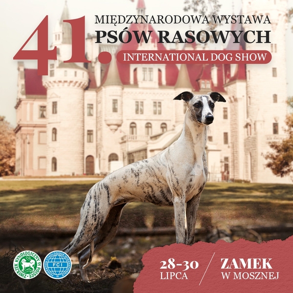 Zdjęcie przedstawiające charakter wydarzenia