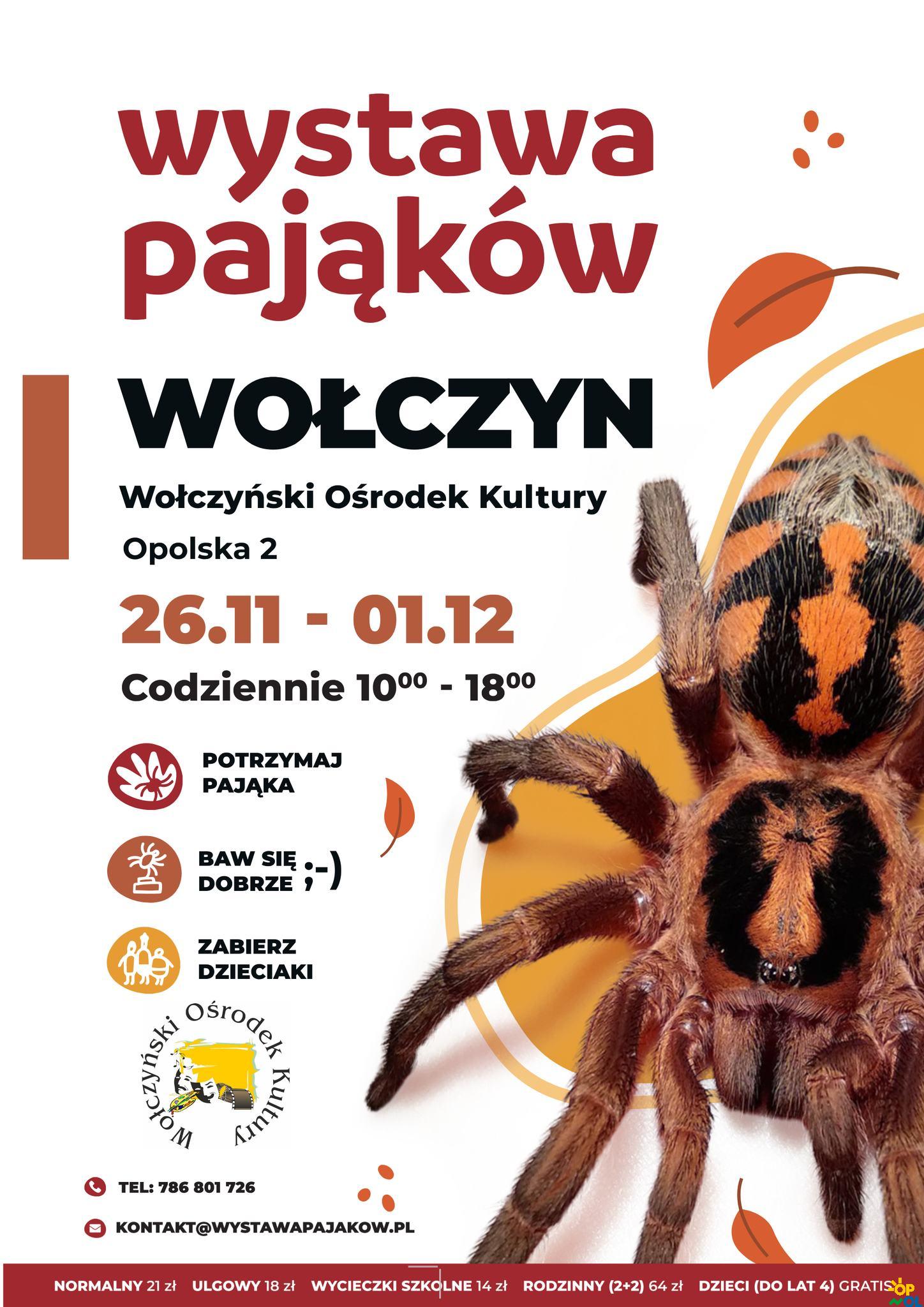 Wystawa Pająków